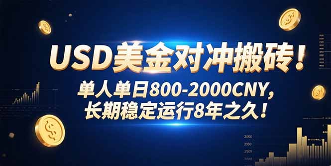 USD美金对冲搬砖!单人单日800-2000CNY，长期稳定运行8年之久!-仙女副业网