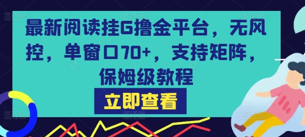 最新阅读挂G撸金平台，无风控，单窗口70+，支持矩阵，保姆级教程【揭秘】-仙女副业网