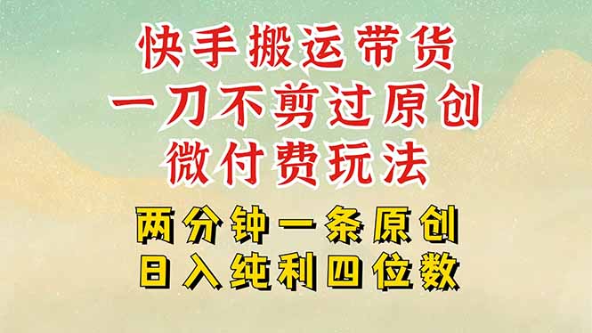 快手黑科技搬运带货，一刀不剪过原创，微付费投流玩法，轻松日入四位数...-仙女副业网