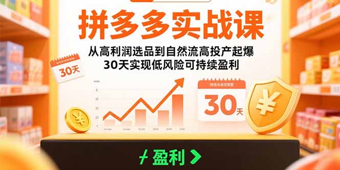 拼多多实战课：从高利润选品到自然流高投产起爆 30天实现低风险可持续盈利-仙女副业网