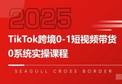 大亿老师·TikTok跨境0-1短视频带货-仙女副业网