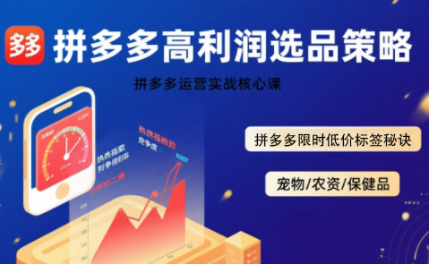 久号老师·拼多多选品暴利技术实战课-仙女副业网