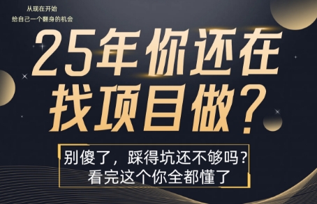 25年，你还在疯狂的找项目吗？别傻了，看完这个你都懂了【揭秘】-仙女副业网