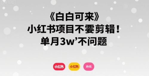 小白可来 小红书项目不需要剪辑 单月3w不是问题-仙女副业网