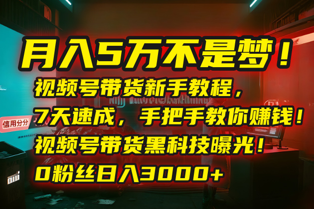 月入5万不是梦！视频号带货新手教程，7天速成，手把手教你赚钱！视频号...-仙女副业网