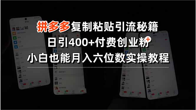 拼多多复制粘贴引流秘籍，日引400+付费创业粉，小白也能月入六位数实操...-仙女副业网