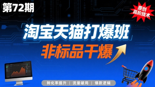 淘宝天猫打爆班原创高阶技术第72期，非标品干爆-仙女副业网