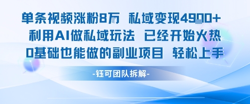 单条视频私域变现4.9k+利用AI做私域玩法 已经开始火热0基础也能做的副业项目轻松上手-仙女副业网
