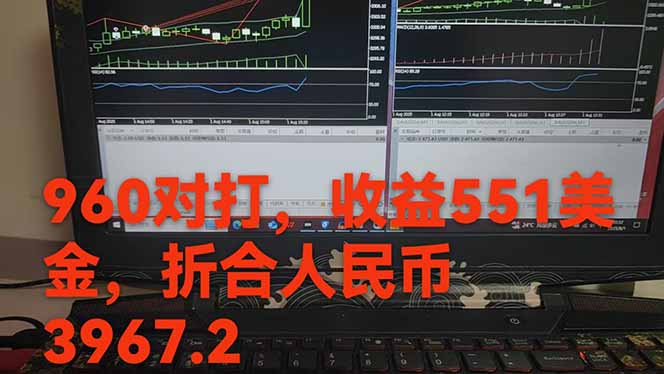 图片[1]-稳定8年的美刀搬砖项目，单人每日收益800—3000.团队4人月入10W+.可线下-仙女副业网