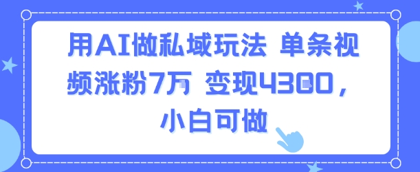 用AI做私域玩法，单条视频涨粉7W变现4.3k，小白可做-仙女副业网
