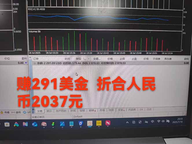 图片[4]-稳定8年的美刀搬砖项目，单人每日收益800—3000.团队4人月入10W+.可线下-仙女副业网
