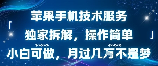 苹果手机技术服务，独家拆解，操作简单，小白可做，月过1W不是梦-仙女副业网