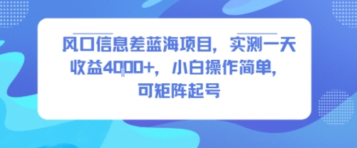 风口信息差蓝海项目，实测一天收益4k+，小白操作简单，可矩阵起号-仙女副业网