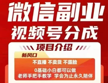 微信副业视频号分成，不直播 不卖货 不露脸，三五分钟即可完成一条作，每日收益几十、几张不等-仙女副业网