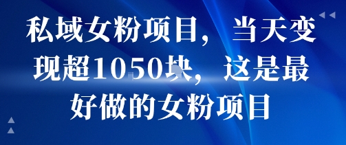 私域女粉项目，当天变现超1k，这是最好做的女粉项目，可放大操作-仙女副业网