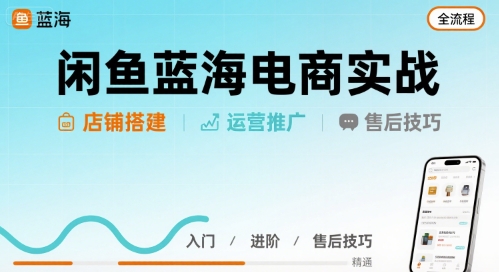 闲鱼蓝海电商实战，店铺搭建运营售后全流程-仙女副业网