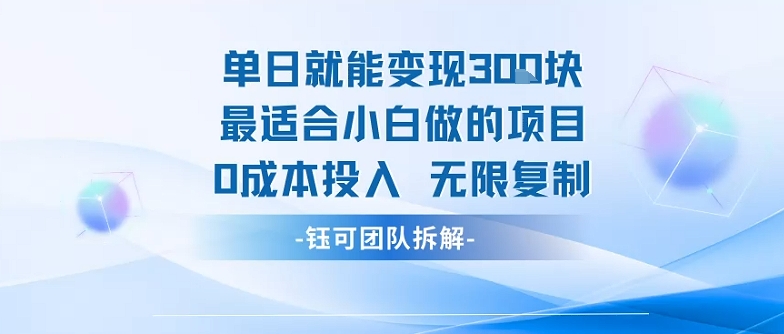 单日就能变现3张最适合小白做的项目0成本投入 无限复制-仙女副业网