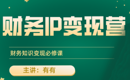 有有老师·财务IP变现营，财务知识变现必修课-仙女副业网