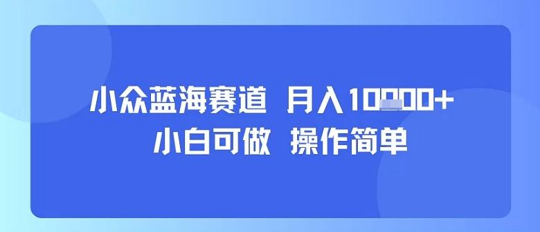 小众蓝海赛道，小白可做，操作简单，每天30分钟，月入1W+-仙女副业网