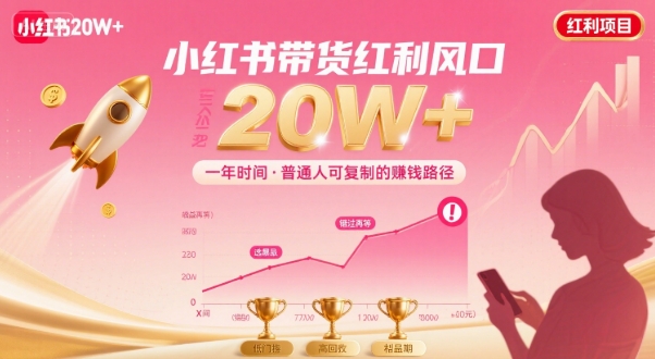 一年时间靠小红书带货项目年入20w+，最不能错的大红利项目-仙女副业网
