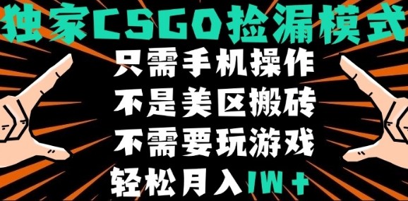 CSGO自动捡漏项目，最新独家玩法，不是美区搬砖，不需要了解和玩游戏，新手小白轻松月入1W+【揭秘】-仙女副业网