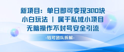新项目单日即可变现3张的小白玩法无脑操作不封号安全引流-仙女副业网