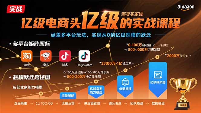 亿级电商头部卖家的实战课程：涵盖多平台玩法，实现从0到亿级规模的跃迁-仙女副业网
