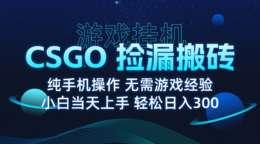 8月最新游戏搬砖，CSGO纯挂机，不需要玩游戏，实现真挂机，月入1W+-仙女副业网