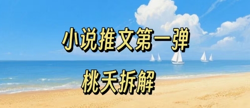 小说推文项目操作全流程第一弹，0粉就能做，门槛低非常适合新手-仙女副业网