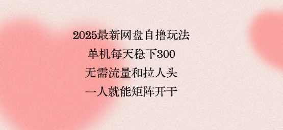 2025最新网盘自撸玩法，单机每天稳下3张，无需流量和拉人头，一个人就可轻松矩阵，全网独一份【揭秘】-仙女副业网