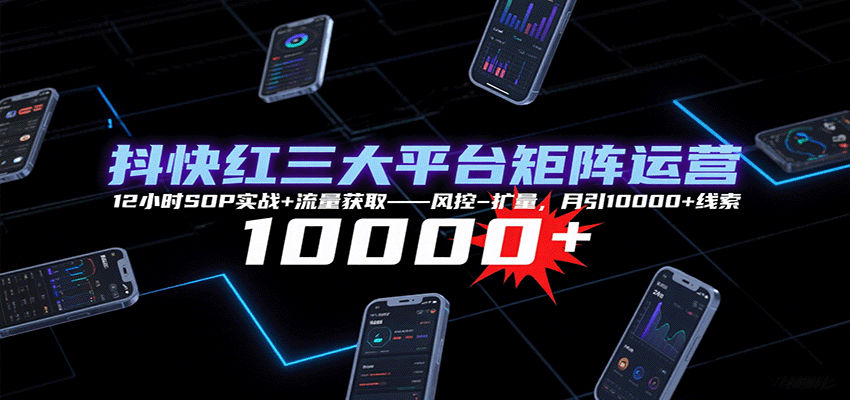 抖快红三大平台矩阵运营，12小时SOP实战+流量获取-风控-扩量，月引10000+线索-仙女副业网