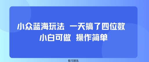 小众蓝海玩法 一天搞了四位数 小白可做 操作简单-仙女副业网