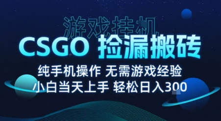 8月最新游戏搬砖，CSGO纯挂G，不需要玩游戏，实现真挂G，月入1W+【揭秘】-仙女副业网