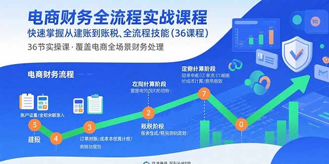 电商财务全流程实战课程：快速掌握从建账到报税的全流程技能(36节课-仙女副业网