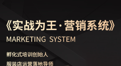 老杨·服装老板必修课《实战为王-营销系统》实现业绩被动式增长-仙女副业网