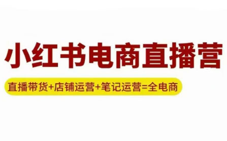 申铭老师·小红书电商直播营(更新)-仙女副业网