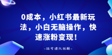 0成本，小红书最新玩法，小白无脑操作，快速涨粉变现-仙女副业网