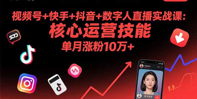 视频号+快手+抖音+数字人直播实战课(9月-仙女副业网