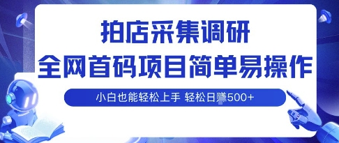 拍店采集调研，全网首码项目，简单易操作， 小白也能轻松上手，多账号操作，轻松日入5张【揭秘】-仙女副业网