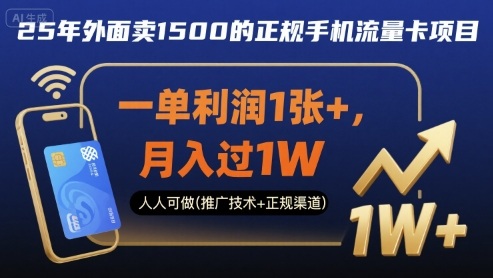 25年外面卖1500的正规手机流量卡项目，一单利润1张+，月入过1W，人人可做(推广技术+正规渠道)【揭秘】-仙女副业网