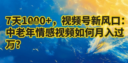 7天收益1k+，视频号新风口：中老年情感视频如何月入过W?-仙女副业网