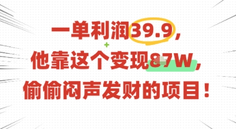 一单利润39.9，有人靠这个变现几十个，偷偷闷声发财的项目-仙女副业网