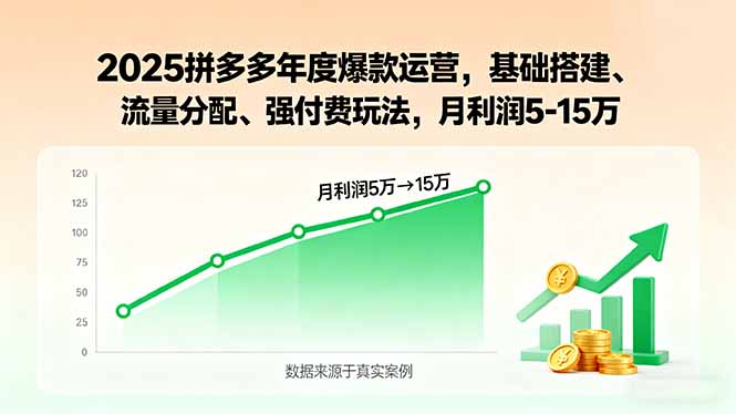 2025拼多多年度爆款运营，基础搭建、流量分配、强付费玩法，月利润5-15万-仙女副业网