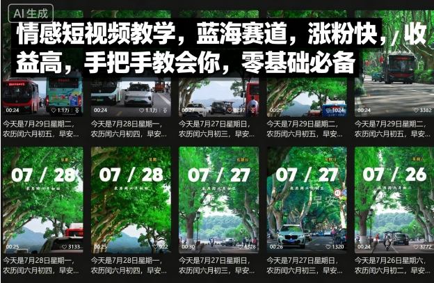 情感短视频教学，蓝海赛道，涨粉快，收益高，手把手教会你，零基础必备-仙女副业网