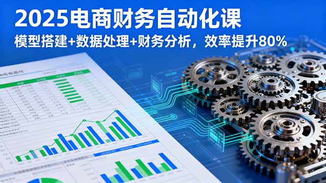 2025电商财务自动化课，模型搭建+数据处理+财务分析，效率提升80%-仙女副业网