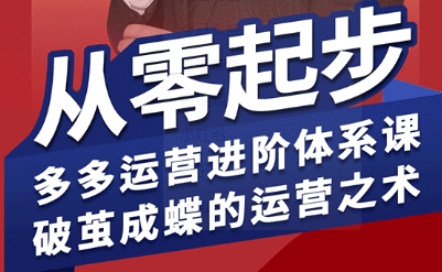 拼多多运营进阶系统课，从零起步，多多运营进阶体系课，破茧成蝶的运营之术(更新9月)-仙女副业网