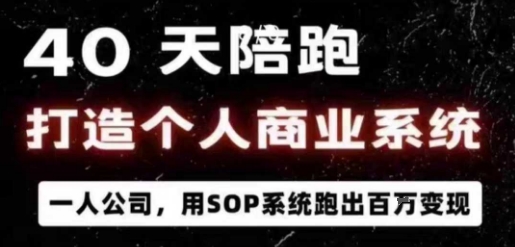 40天陪跑打造个人商业系统，一人公司，用SOP系统跑出百W变现-仙女副业网