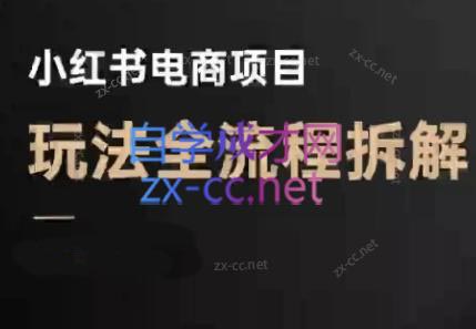 菲菲老师·小红书电商玩法(更新9月)-仙女副业网