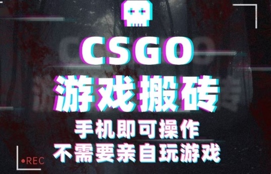 CSGO游戏挂G捡漏，单日扫货5张+，年底小高峰上车可吃肉，手机即可操作，兼职副业创业网创【揭秘】-仙女副业网