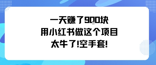 一天挣了9张用小红书做这个项目太牛了，空手套-仙女副业网